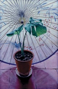 Parapluie chinois - Simon Cook